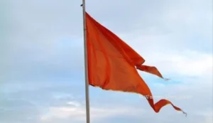 ‘ವಿಭಿನ್ನ ನಂಬಿಕೆಗಳು, ಒಂದು ತಾಯ್ನಾಡು, ಒಂದು ಭಾರತೀಯ ಗುರುತು’; ಸಹೋದರತ್ವ, ಸಾಮರಸ್ಯಕ್ಕೆ RSS ಮುಸ್ಲಿಂ ರಾಷ್ಟ್ರೀಯ ಮಂಚ್ ಕರೆ