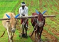 PM-KISAN ಯೋಜನೆಗೆ 2030-31ರವರೆಗೆ ವಿಸ್ತರಣೆ; ಕೇಂದ್ರ ಅನುಮೋದನೆ