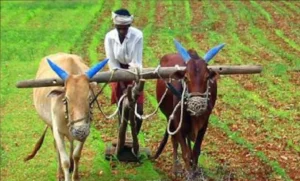 PM-KISAN ಯೋಜನೆಗೆ 2030-31ರವರೆಗೆ ವಿಸ್ತರಣೆ; ಕೇಂದ್ರ ಅನುಮೋದನೆ