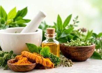 World Menopause Day 2026: Ayush Ministry Advocates Holistic Women’s Healthcare