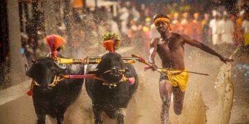 ಮೈಸೂರು ದಸರಾ ಅಂಗಳದಲ್ಲಿ ಕರಾವಳಿಯ ಕಂಬಳ ವೈಭವ