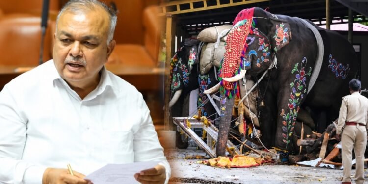 ದಸರಾ ಮೆರವಣಿಗೆಯಲ್ಲಿ ಆನೆ ಅವಾಂತರ: ಆನೆಗಳ ಬಳಕೆಗೆ ಕಟ್ಟುನಿಟ್ಟಿನ ಕ್ರಮಕ್ಕೆ ಸಚಿವ ರಾಮಲಿಂಗಾ ರೆಡ್ಡಿ ನಿರ್ದೇಶನ